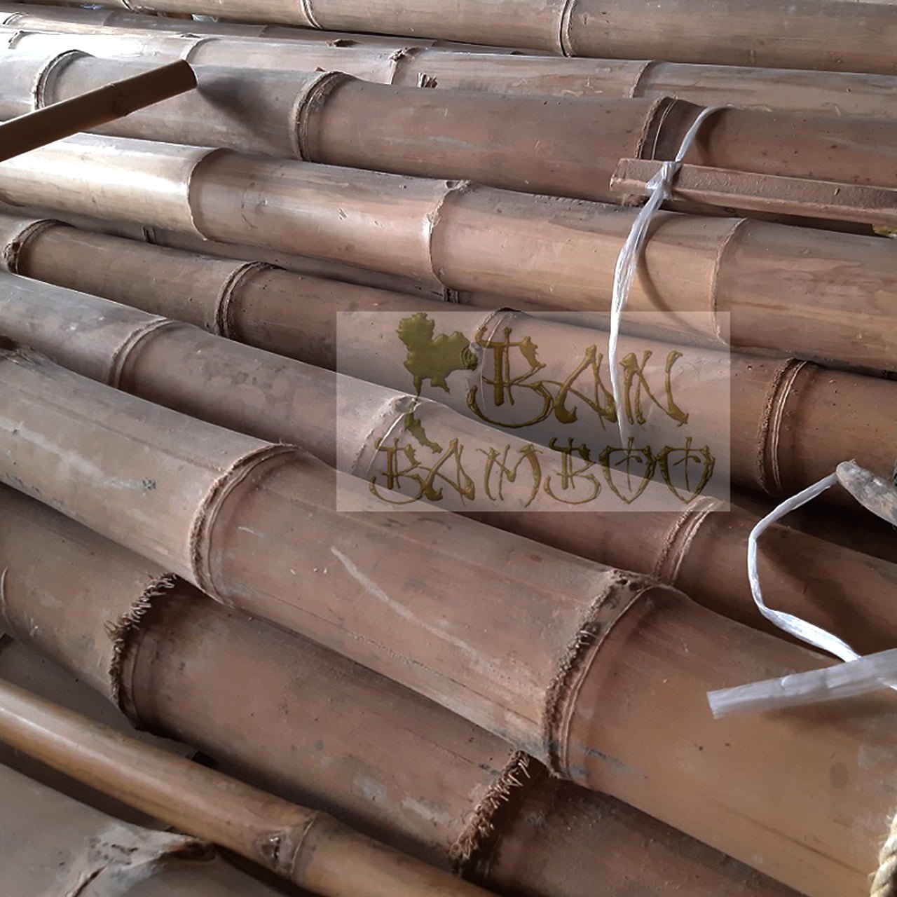 Canne di bamboo da Arredamento - Banbamboo