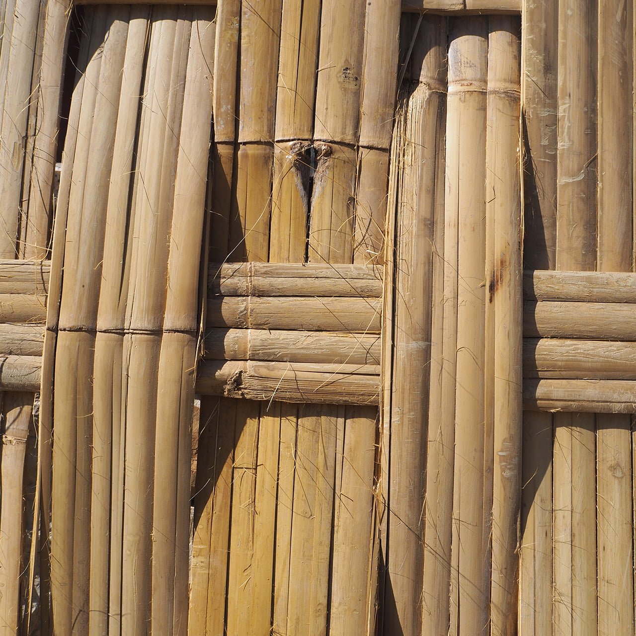 Canne di bambu per massaggio