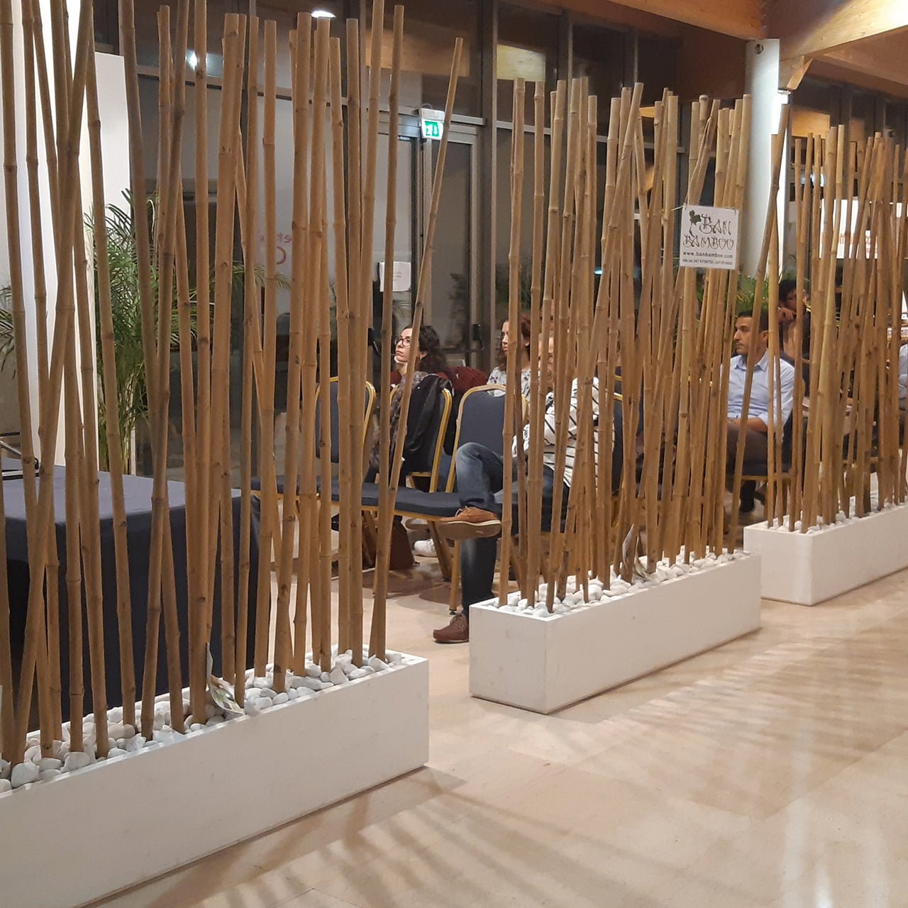 Canne di bambu per massaggio
