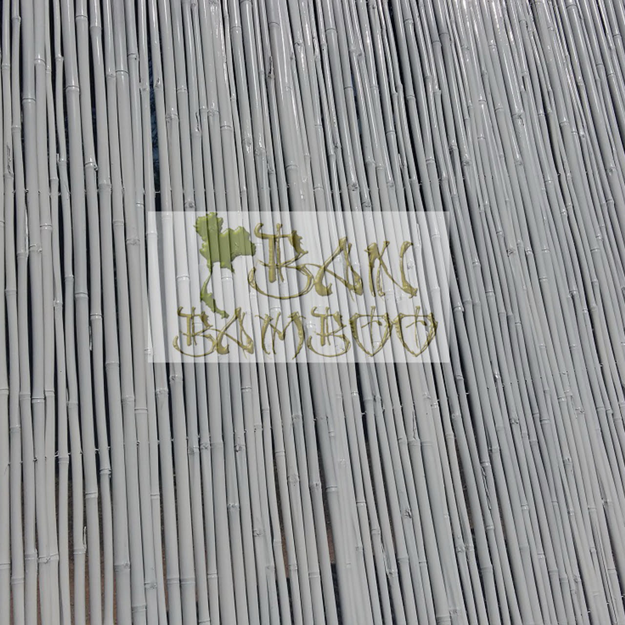 Canne di Bamboo per orto e arredo 130 - 180 - 270 cm - Bambù