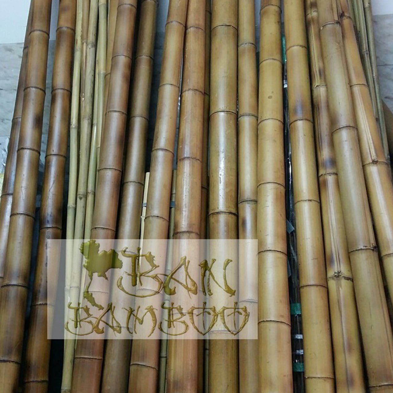 Canne Di Bambù Naturali, Lunghezza 180 Cm, Diametro 24-26 Mm, Confezione Da 25 Pezzi, Per Tutori Piante E Decorazioni