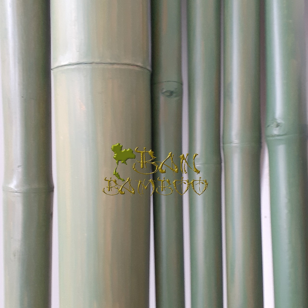 canne-verdi-verniciate