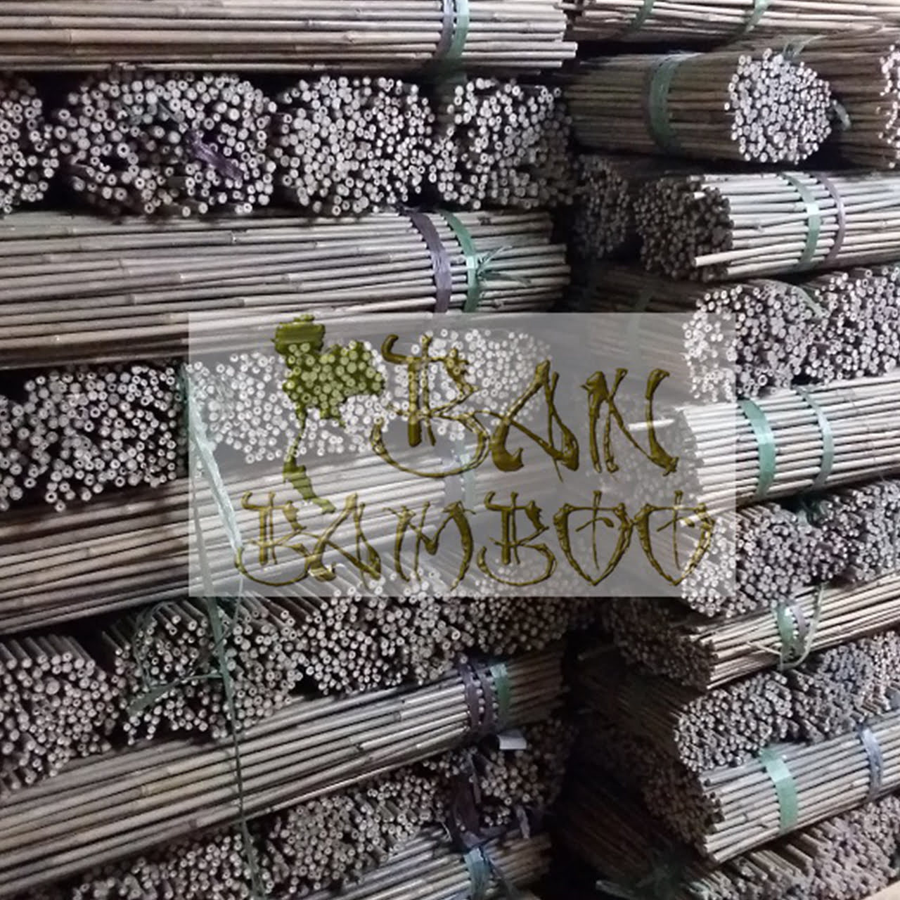 Canne di bamboo per agricoltura